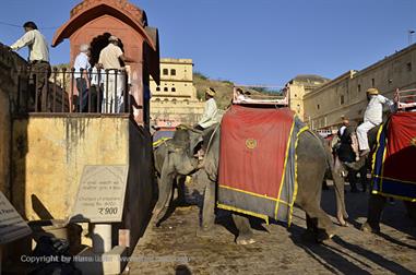 04 Fort_Amber_and Elephants,_Jaipur_DSC4976_b_H600